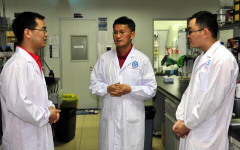 三七價格，三七粉價格